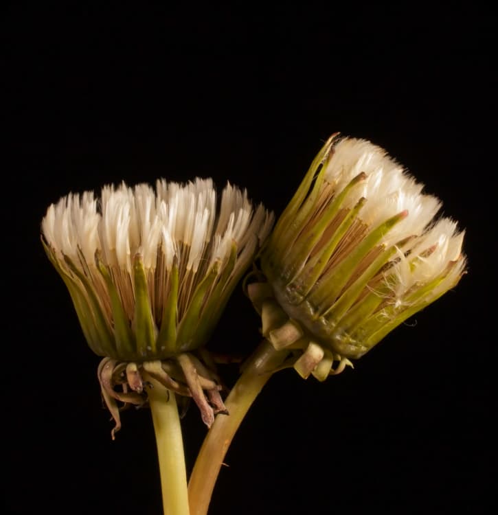 I am a business or company